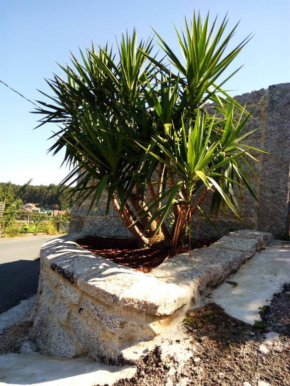 Maison d'hôtes A Casa De Lucha à Meis Extérieur photo